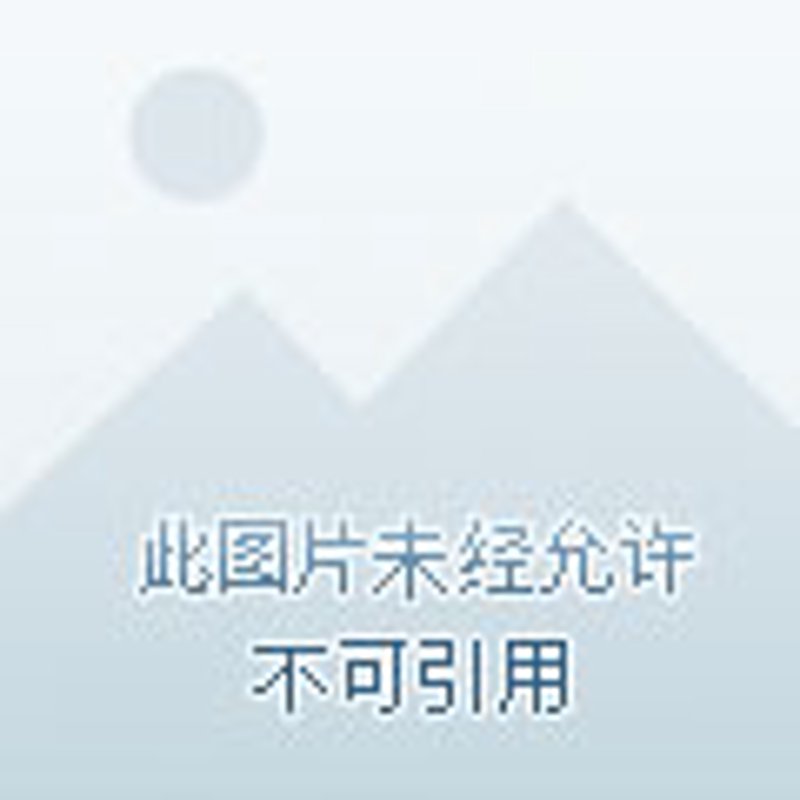 现代生活中的剪发护发明趋势与挑战